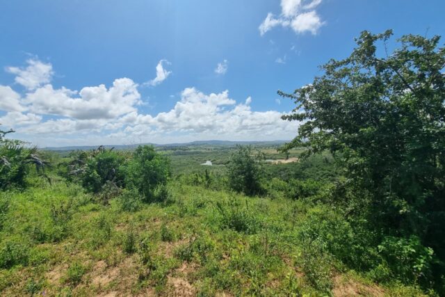 Prime 1-Acre Land for Sale – Mtepeni, Mtwapa Creek